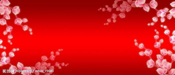 纽卡索大学文凭